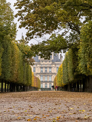Beautiful view of Tuileries Garden in Paris France, showcasing vibrant autumn colors, iconic pathways, and the stunning backdrop of historic city landmarks
