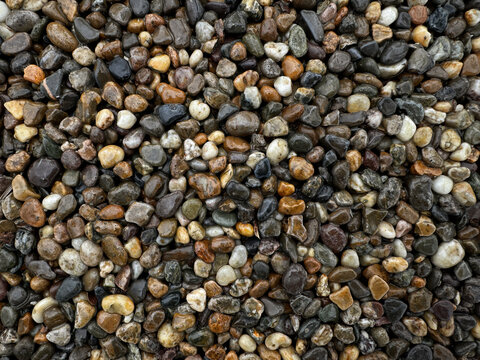 Close-up of wet river rocks showing a variety of colors and textures