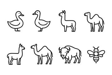 Naklejka premium Farm and desert animal icon collection. Duck, camel, alpaca, bison and bee for agriculture, nature and wildlife projects. Vector illustration.