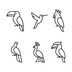 Naklejka premium Tropical Birds Set: Toucan, Hummingbird, Parrot, Peacock, Vector Illustration