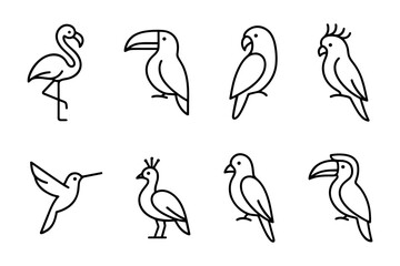 Naklejka premium Exotic Birds Collection: Flamingo, Toucan, Parrot, Peacock, Hummingbird, Vector Illustration