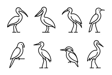 Obraz premium Vector Birds Collection: Pelican, Stork, Parrot, Kingfisher, Nature Illustrations