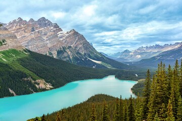 Peyto Lake is an iconic attraction in Banff National Park, Canada 