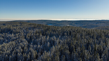 Snow covered trees in the vast Black Forest, in Germany, drone aerial view