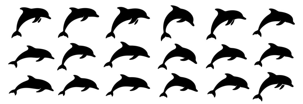 Dolphin silhouettes in jumping and swimming poses. Clean lines show high quality. The set highlights curved movement and smooth shapes