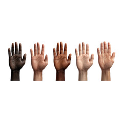 A horizontal row of five raised human hands with open palms, showcasing a spectrum of diverse skin tones against a clean white background
