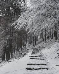 Snow-covered stone steps leading up a hillside through a dark, snow-dusted winter forest.