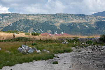 Fototapety na wymiar - Fototapeta24.pl