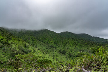 Mauʻumae Ridge Trail (Puʻu Lanipō), Oahu, Hawaii. Koʻolau Range, shield volcano.

