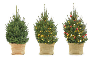 Christmas tree decorating with string lights and festive ornaments. Step by step collage on white background