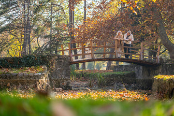 Senior couple enjoying a peaceful moment on a bridge in a park during autumn