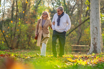 Happy senior couple enjoying a walk in the park on a sunny autumn day