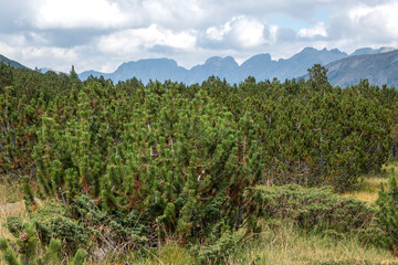 Rila mountain near The Stinky Lake (Smradlivoto Lake), Bulgaria