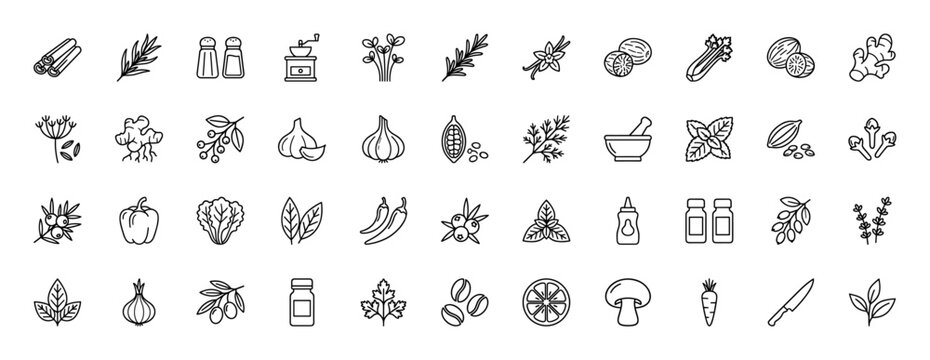 Cooking ingredients and spice line icon set. Vector pictograms of rosemary, vanilla, ginger, celery, and herbs, thin linear illustration.