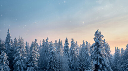 winter landscape with trees