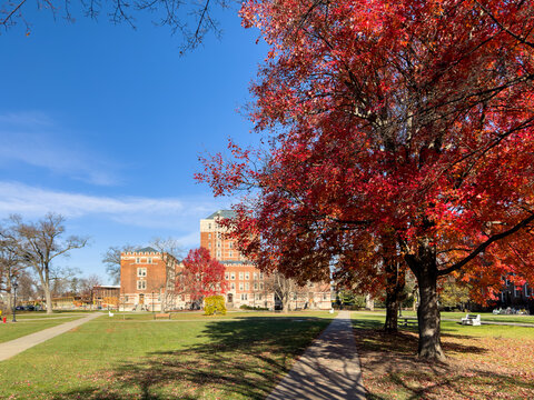 View of fiery red autumn leaves frame a serene pathway leading towards historic brick buildings under a crisp blue sky, Vassar College Campus, Poughkeepsie, New York, United States.