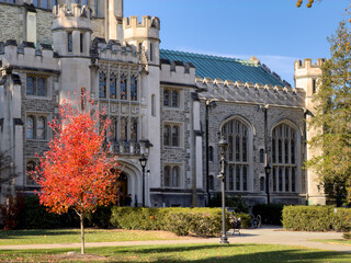 View of collegiate gothic architecture bathed in soft light, a vibrant red tree stands in contrast against the grey stone, enhancing the campus scene, Poughkeepsie, New York, United States.