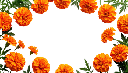 Close-up of vibrant orange blossoms with green foliage forming a circular frame against a dark background, perfect for a card
