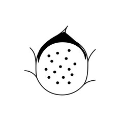 Illustration of a round fruit with small black dots inside and a dark top with thin leaves around it