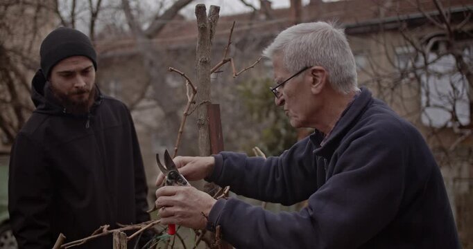 An experienced senior man teaches a younger man how to prune plants in a winter garden. This scene highlights shared knowledge, inter generational bonding, and the beauty of cultivation.