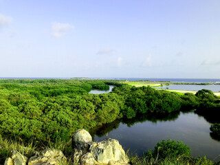 green grass and blue sky
