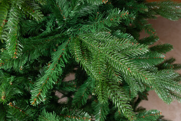 Realistic green artificial Christmas tree branches background