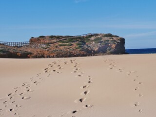 Obraz premium Küste Carraparteira an der Westalgarve