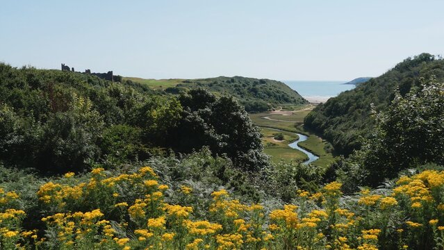 Pennard Pill River, Three Cliffs Bay, Gower Peninsula, Wales