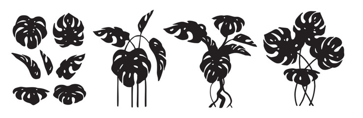Monstera Leaves Silhouettes Set