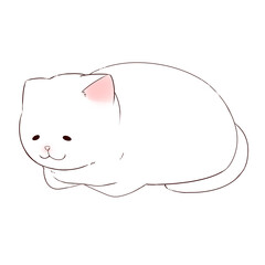 sitting white cat illustration