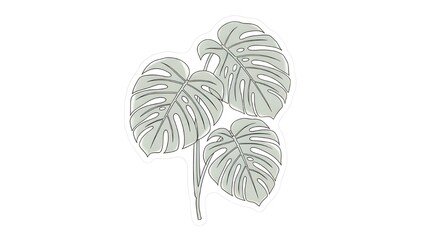 A simple, stylized drawing of three Monstera plant leaves (often called a Swiss Cheese Plant) in a muted, light gray-green color with black outlines, set against a white background.