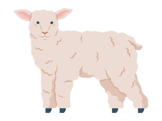 Fluffy lamb. Animal care, farm life, livestock farming, pastoral art, rural scenery, kid-friendly media. A cute white fluffy lamb stands upright, facing forward. Animal care and farm life concepts