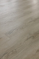 Detailed macro view of light oak flooring under diffused daylight, highlighting subtle wood grain and natural surface texture.