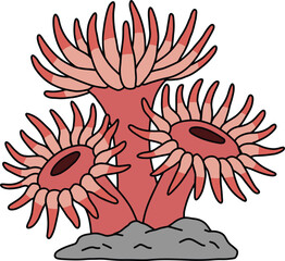 Vibrant Red Sea Anemones on a Rock