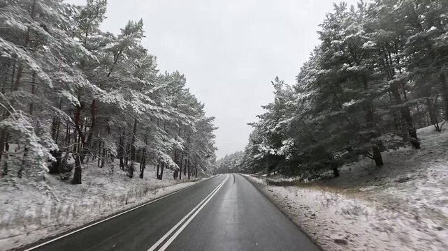 Winter snow road forest Poland fast POV 4K. Northern Poland. Winter season, snow and frost along roads, trails and trees. Path recreation landscape. Thick forests with farm agriculture land. Rural.