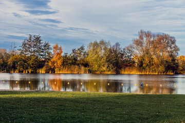 autumn landscape in the park