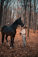 Woman interacts with horse in park during autumn season with fallen leaves and trees in background