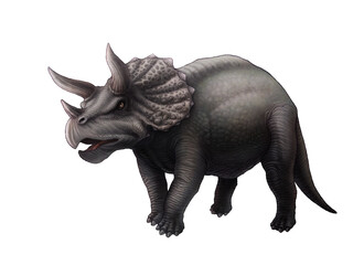 Fototapeta premium This detailed illustration depicts a Triceratops, a herbivorous dinosaur from the Late Cretaceous period
