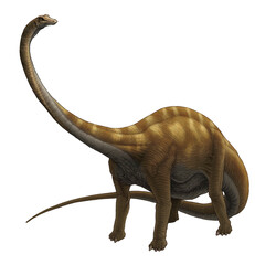 This detailed illustration depicts a majestic Diplodocus on a plain white background © Abel