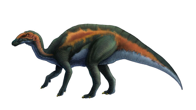 Illustration of a Hadrosaurus dinosaur, a herbivore from the Cretaceous period