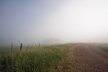 A foggy morning with a fence in the background