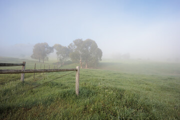 A foggy field with a wooden fence and trees in the background