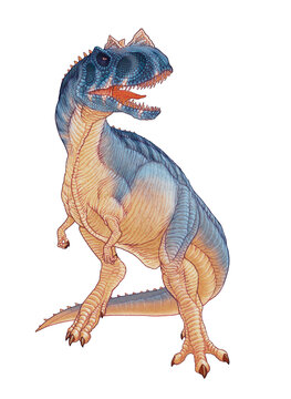 Illustration of a colorful Ceratosaurus dinosaur isolated on a white background