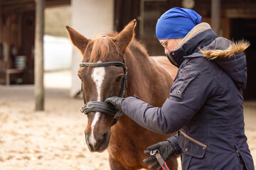 Woman preparing horse for lunging with cavesson, winter training routine on stable yard