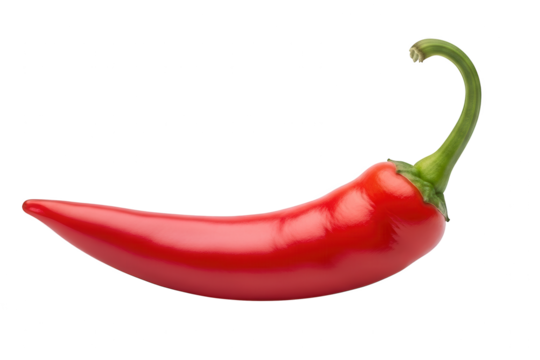 Vibrant red chili pepper curves dramatically against a solid dark background