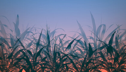 Atmospheric dawn or dusk scene - dark plant silhouettes contrasted by a soft, glowing sky gradient from warm orange to cool blue, peaceful nature