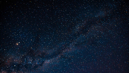 Merry Christmas: Heartwarming Wishes, Festive Ideas, and Holiday Inspiration