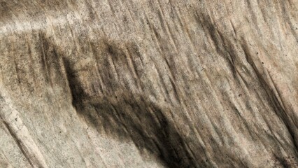 Abstract, high-resolution macro texture of a weathered, dried banana leaf in natural brown and gray tones, showcasing vertical lines.