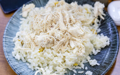  Close-Up of Chicken Rice Plate
