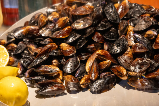 Close-Up of Street-Style Stuffed Mussels